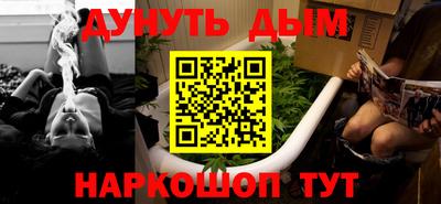 крисы Кунгур