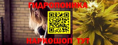 крисы Кунгур