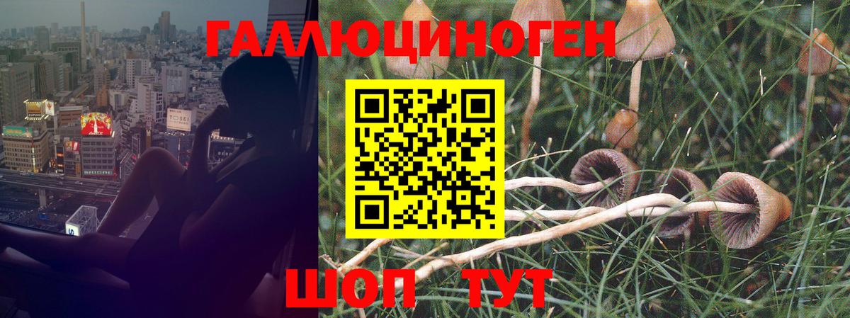 Псилоцибиновые грибы мицелий Ивантеевка