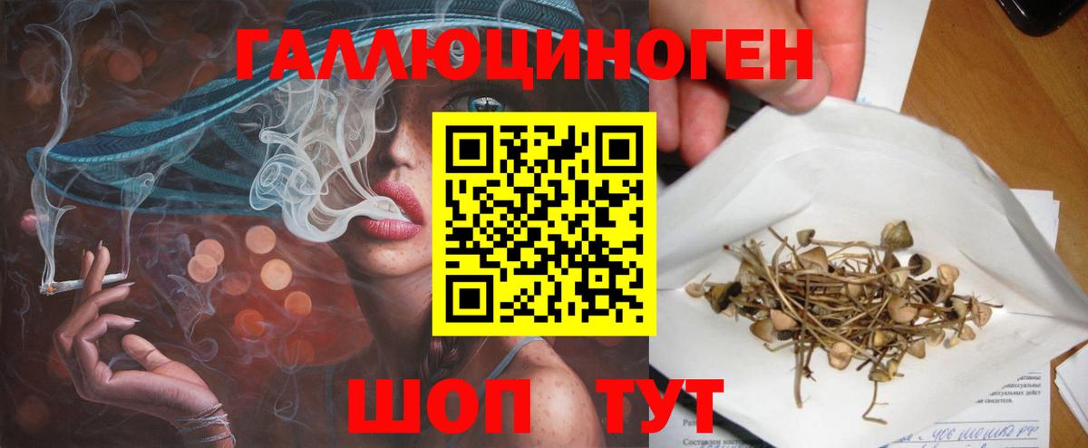 Ивантеевка  Галлюциногенные грибы мицелий  дарнет шоп  Вход с VPN 